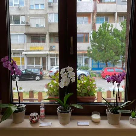Penzion Family House - Free Parking Sofie